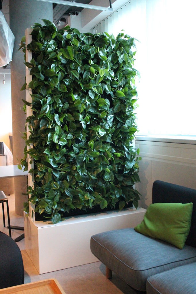 zielona ściana