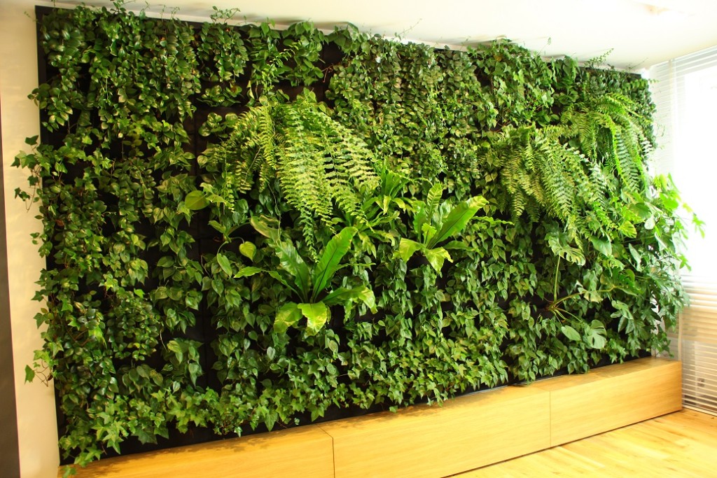 zielone ściany