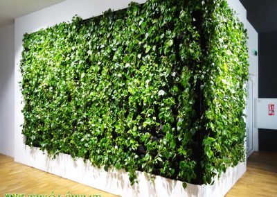 Corner green wall indoors