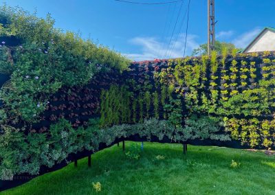 Free-standing outdoor green wall
