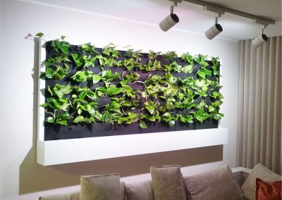 Hanging illuminated green wall