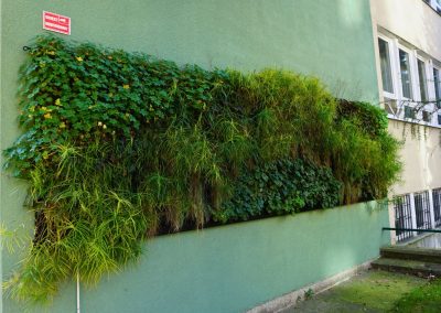 Hanging outdoor green wall