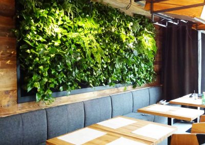 Hanging green wall in a restaurant