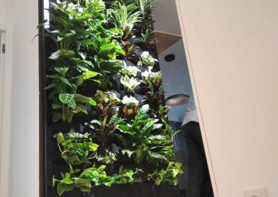 Kanalizacja wykorzystana przy nawadnianiu ogrodu wertykalnego do zabudowy