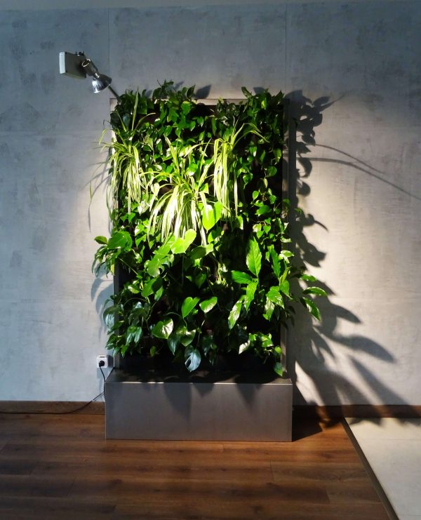 Large modular green wall with its own lighting