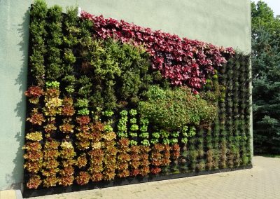Outdoor living wall with plants