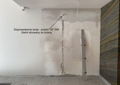 Wewnętrzna zielona ściana - przykład doprowadzenia wody