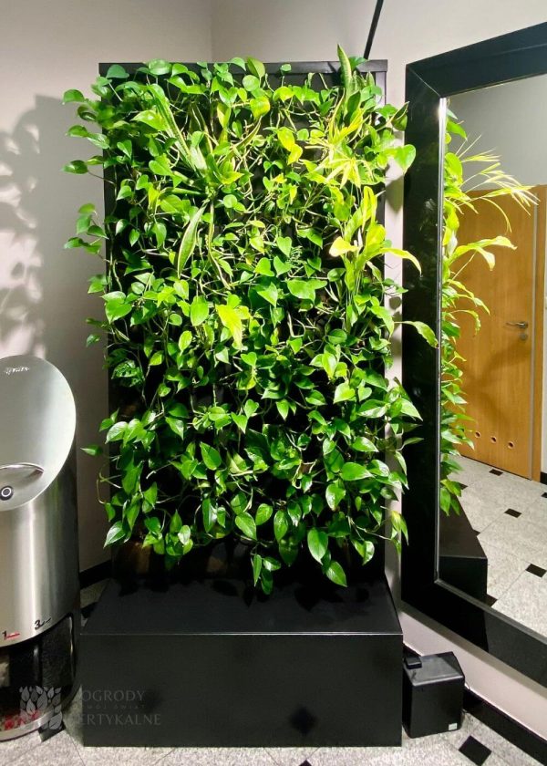 Small mobile green wall with plants