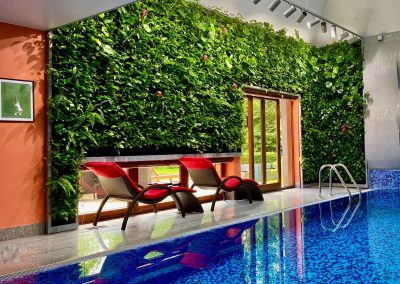 Green wall by the pool