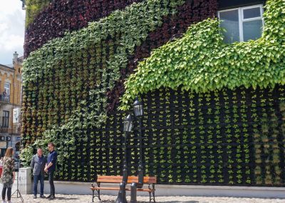 Green wall on a building