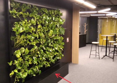 Vertical garden with a sample enclosure for a tank