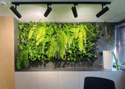 Hanging green wall - illumination
