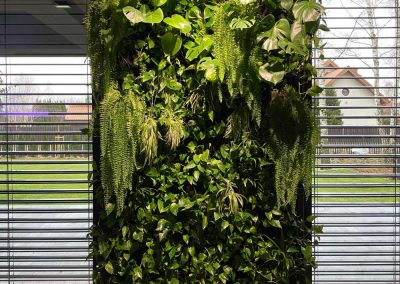 Lush green wall - indoors