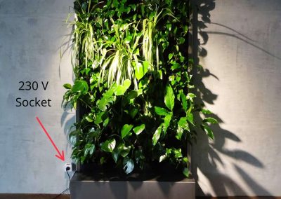 Modular green wall - 230V socket