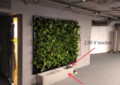 Water tank for irrigating plants in a concealed vertical garden